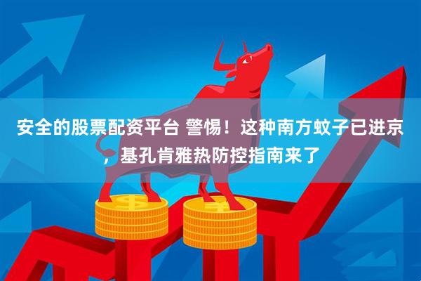 安全的股票配资平台 警惕！这种南方蚊子已进京，基孔肯雅热防控指南来了